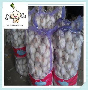 Quality New Crop Chinese Garlic Fresh Garlic Normal White garlic wholesale
