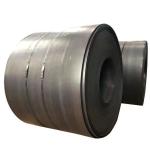 Zinc Steel Coil with Standard Width 610/750/762/914/925/1000/1200/1219/1250/1500