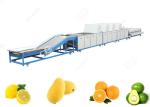 Orange Washing Waxing Drying And Grading Machine Fruit Cleaning And Waxing