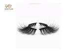 Whole Strip Fan Shaped OEM Natural False Eyelashes