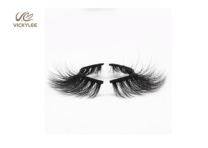 Whole Strip Fan Shaped OEM Natural False Eyelashes