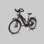 26 Inch Road E Bike 48V 31Ah Lithium Battery 250W Electric Bicycle For Ladies