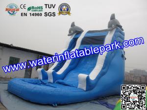 Quality Children Amazing Inflatable Water Slide In Outdoor , Durable Blue Inflatable Water Slide wholesale