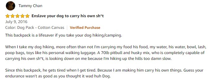 Wholesale Dog Carrier Pet Backpack
