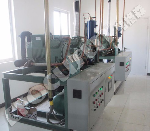 Compressor Refrigeration System Frozen Cold Room for Frozen Product Preservation
