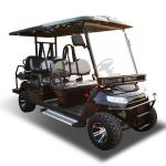 6 Passenger Electric Hunting Buggy NEA Lithium Battery Golf Cars 60v 3.5kw OEM