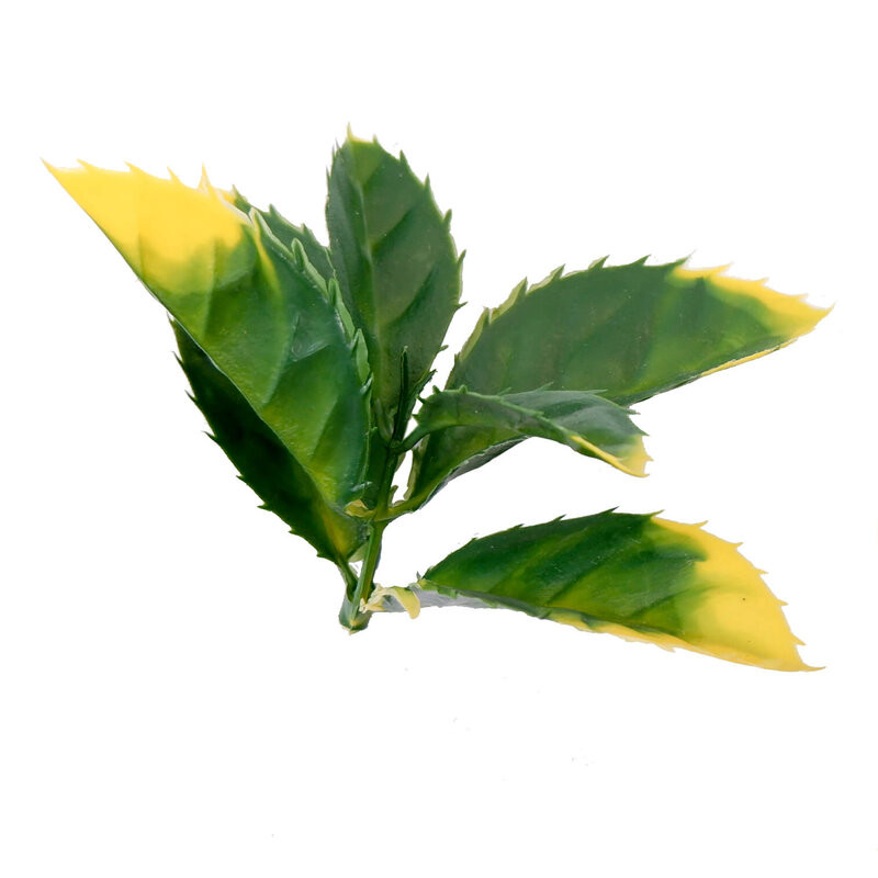 Customized Plastic Plant Artificial Green Walls Enviromental Friendly