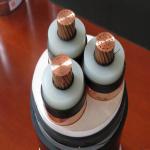 Industrial Multicore PVC Insulated Power Cable Copper Conductor Medium Voltage