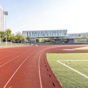 Quality ISO18001 13mm Sandwich System Tartan Stadium Running Track wholesale