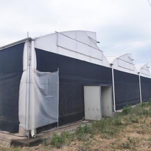 Quality 100% Blackout Light Deprivation Mushroom Greenhouse With Net Shade System wholesale