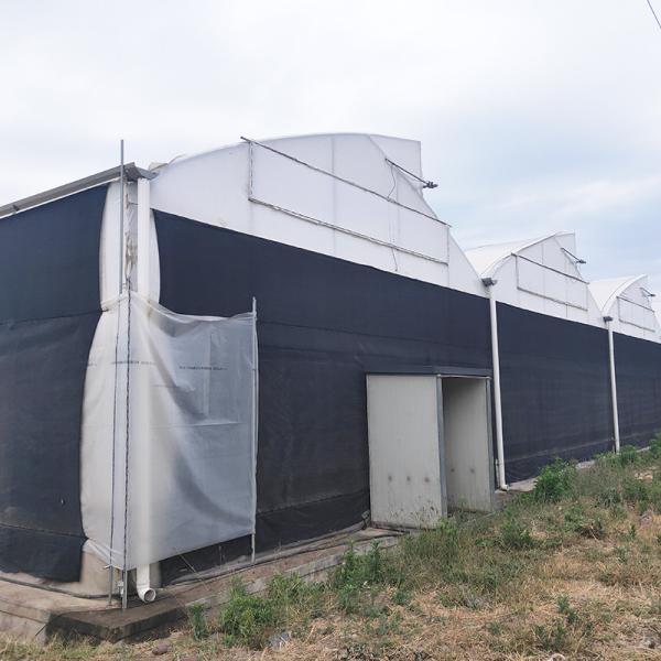 Durable Light Deprivation Blackout Multi-span Agricultural Plastic Film