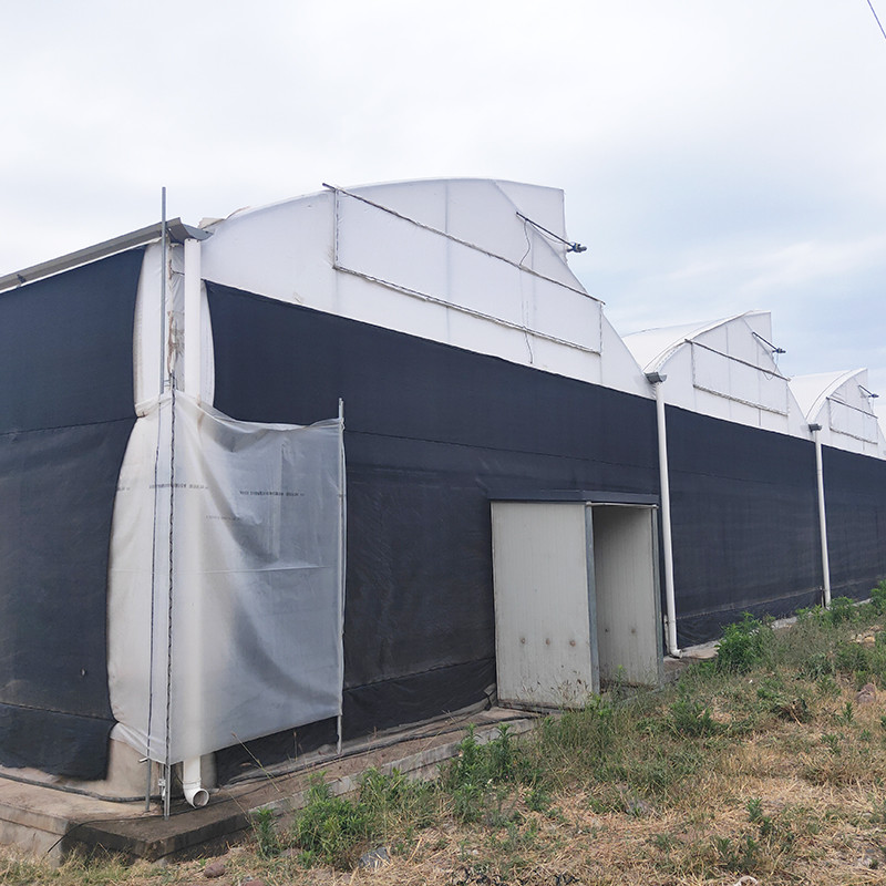 Hot Galvanized Steel Pipe Nursery Multi-span Panda Film Blackout System Mushroom Tropical Greenhouse