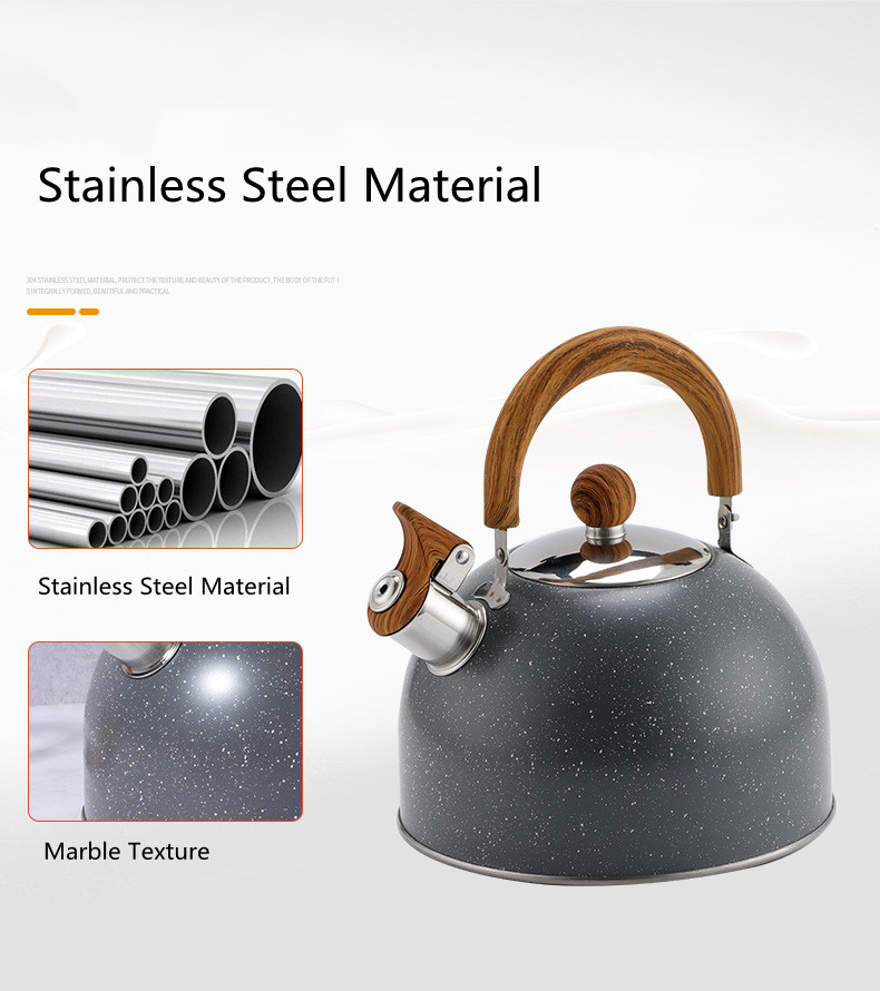 Household stainless steel electric OEM tea pot hot water whistling kettle