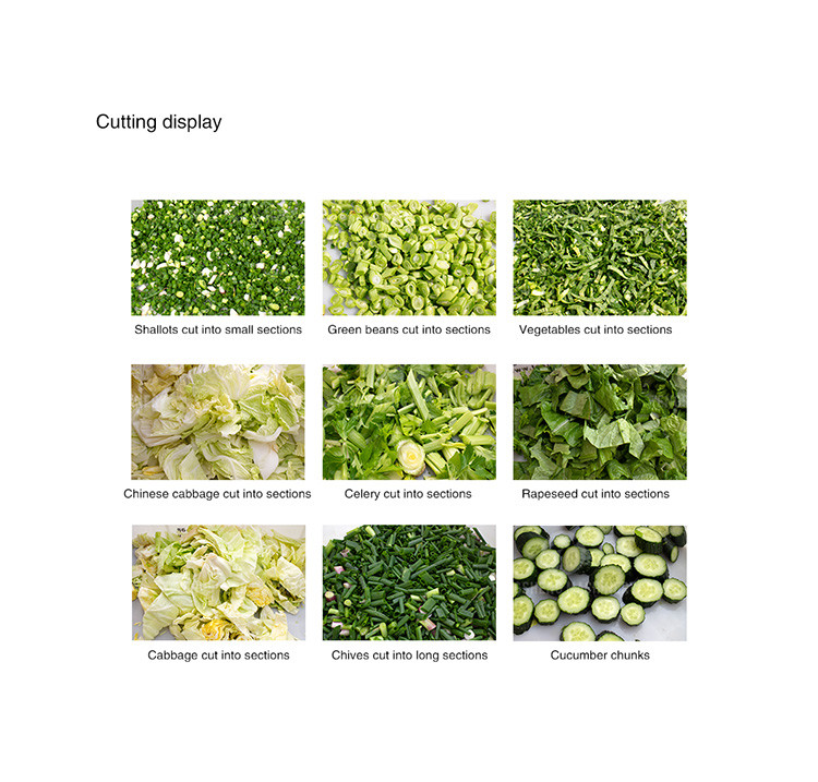 Chicory Revolving Door Cabbage Slicing Machine , Crosscut Knife Cabbage Chopping Machine
