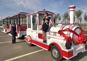 Quality Theme Park Roundhouse Trackless Trains 72 Sets Diesel Road Train Steering System wholesale