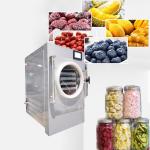 Home Used Household Freeze Dryer Low Noise For Roses Strawberry
