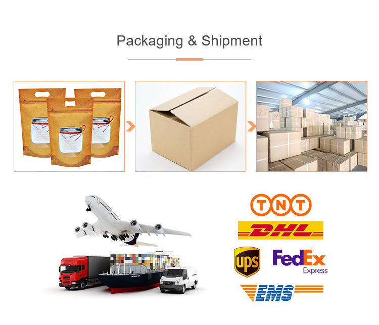 PVC/EVA/PP Custom Plastic Bag Biodegradable PVC Plastic Zip Bags For Travel