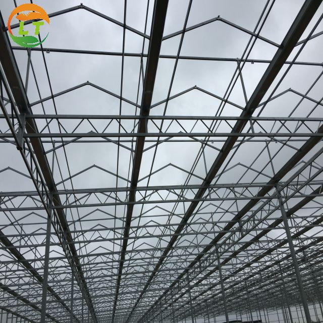 Multi-Span Agricultural Greenhouses with Hot Galvanized Steel Transparent Solar Panels