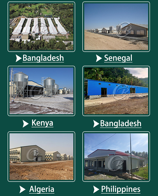 Customized Steel Structure Poultry House Fire Resistant For Dairy Farm