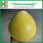 Chinese pomelo