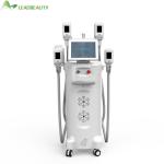 freeze fat cryolipolysis slimming machine cryolipolysi fat freezing weight loss