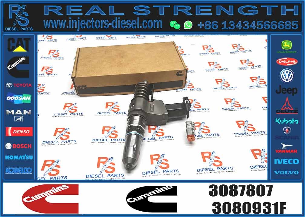 N14 Common Rail Fuel Injector 4307516N 3411767T 3407776 3087807 341176