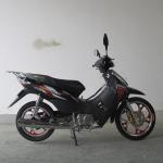 TR135B-IIID 135 cc Cub Motorcycle