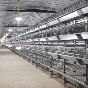Quality 1480x1750x440mm Battery Chicken Cage wholesale