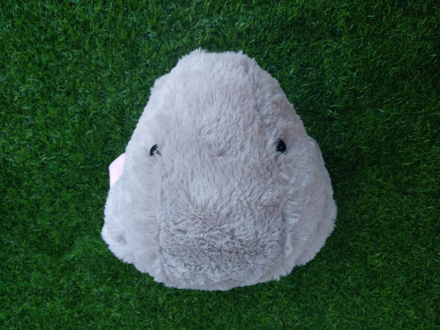 golf head cover , dog head cover , animal head cover , plush head cover , driver head cover