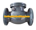 BS5153 PN16 cast iron swing check valve