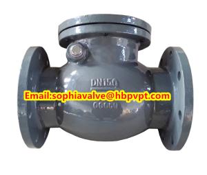 Quality BS5153 PN16 cast iron swing check valve wholesale