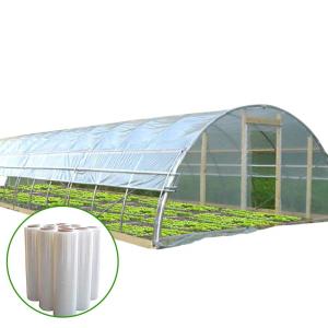 Quality Vegetable Growing Plastic Film Greenhouse / Tunnel Single Span Greenhouse wholesale