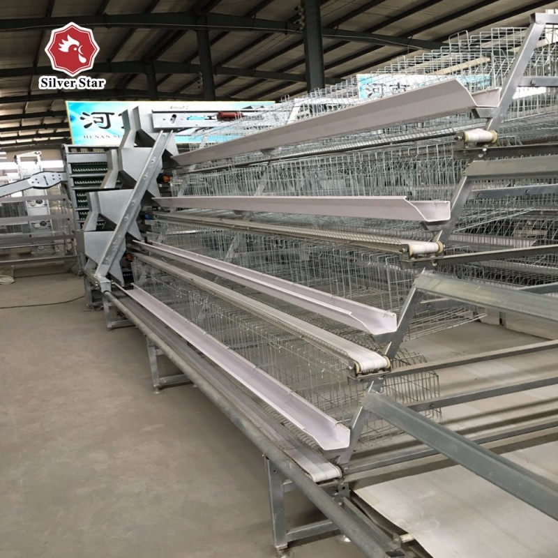 Anti-Corrosive Galvanized Steel Poultry Farming Equipment for Layer Cages