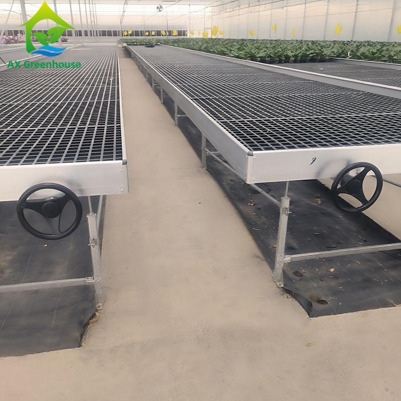 Ebb And Flood Hydroponic Movable Table Rolling Bench For Growing Plants In Greenhouse