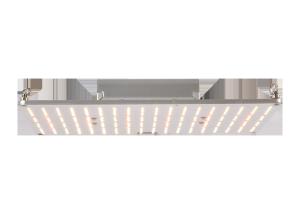 Quality 730nm 240x300x48mm Quantum Board Led Grow Lights wholesale