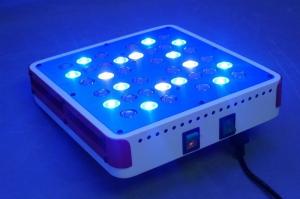Quality New arrival Apollo 4 40*5w led grow light high efficiency 5watts chip module system heat wholesale