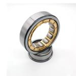 NUP205 Roller Bearing NU205 NF205M Cylindrical Roller Bearings NJ205 NUP205