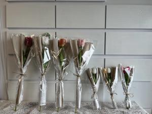 Quality Artificial plants wholesale