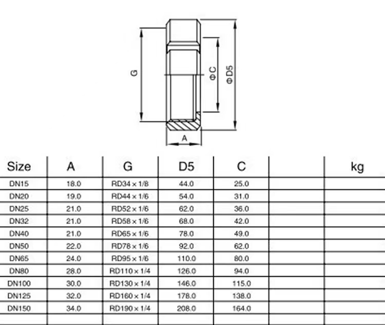 WZ Sanitary SMS Union Blind Nut with Chain DIN 3A SMS General Cylindrical Head Code