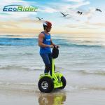 Lithium Battery Segway Electric Scooter , 2 Wheel Self Balancing Electric