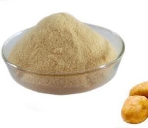 Quality 100 Mesh Dehydrated Potato Dices 100% Pure Dried Potato Powder ISO HACCP wholesale
