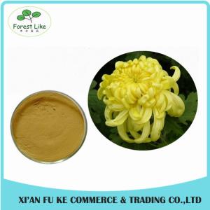 Quality Instant Health Food Chrysanthemum Flower Powder wholesale