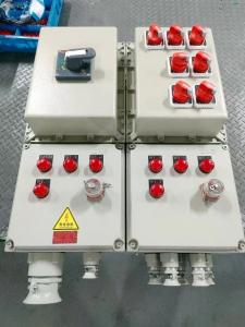 Quality IP66 WF2 Ex proof Panel for Hazardous Areas wholesale