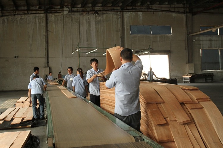 Natural Sapele Wood Veneer Figured Wood Grain Veneer For Decoration