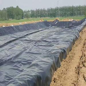 Quality Agriculture Pond HDPE Geomembrane Liner 0.2mm-4mm Thickness wholesale