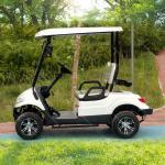 60V 40Mph 2 Seater Golf Cart Buggy Car Dealer For Garden Farm Club