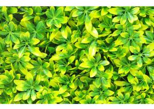 Quality Garden Decoration 40cm High Density Simulated Green Lawn wholesale