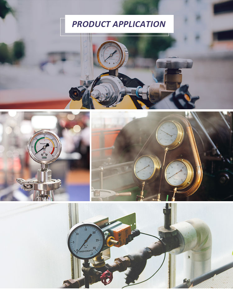 High quality with competitive price CE EN837-1 water air 1psi (0 - 600 Psi) Npt 1/4 Oil Water Pressure Gauge