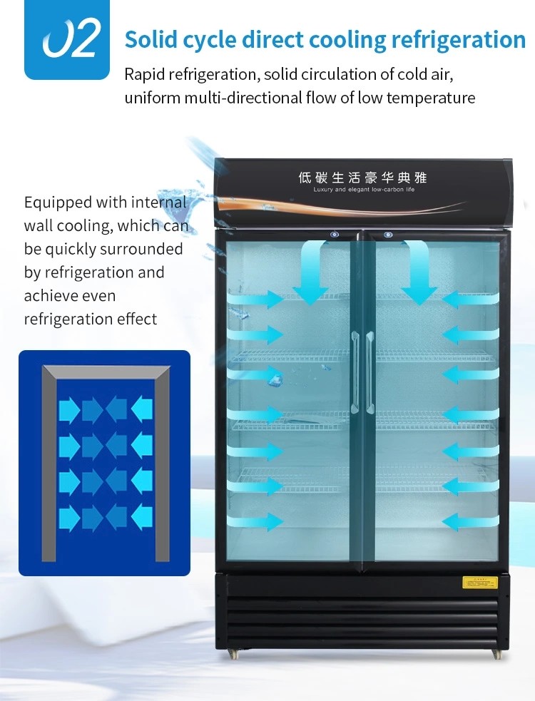 Upright Commercial Display Freezer Beverage Cooler