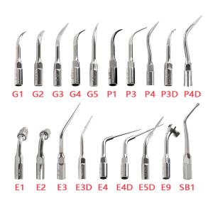 Quality Silver Dental Ultra Sonic Scaler Tips Stainless Steel Multipurpose wholesale